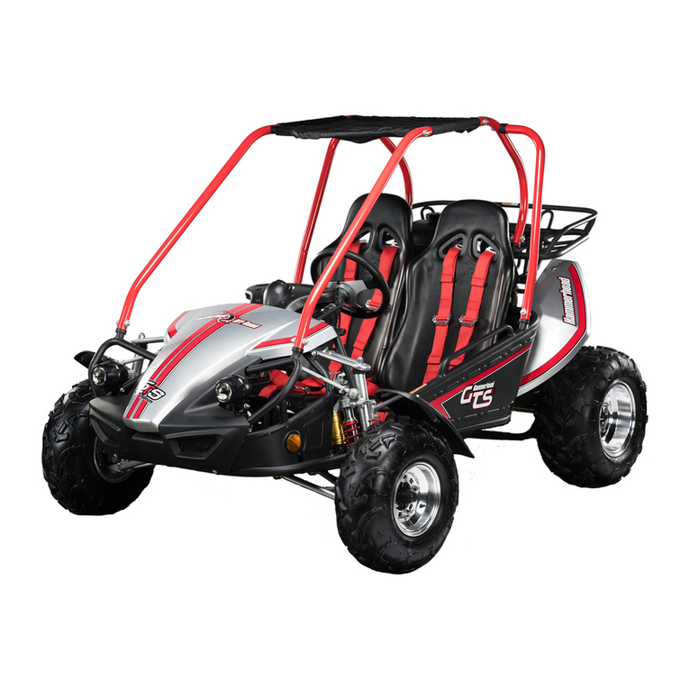 Hammerhead GTS150 owner's manual