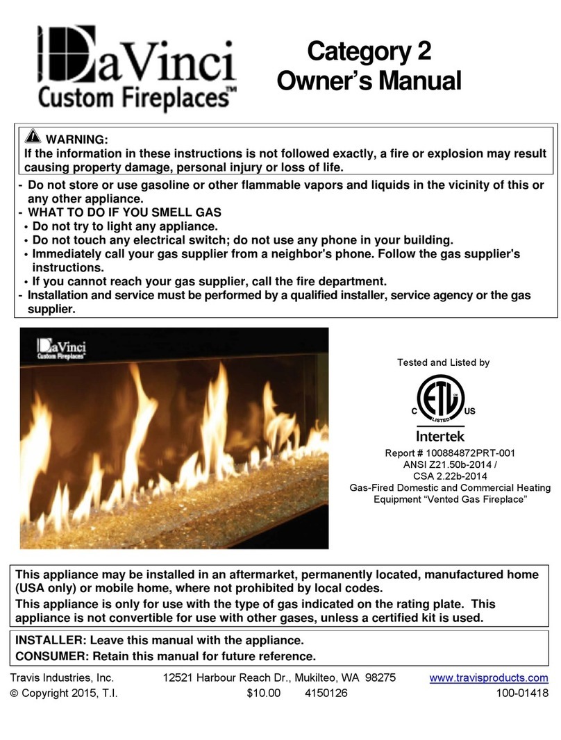 DaVinci fireplace User manual