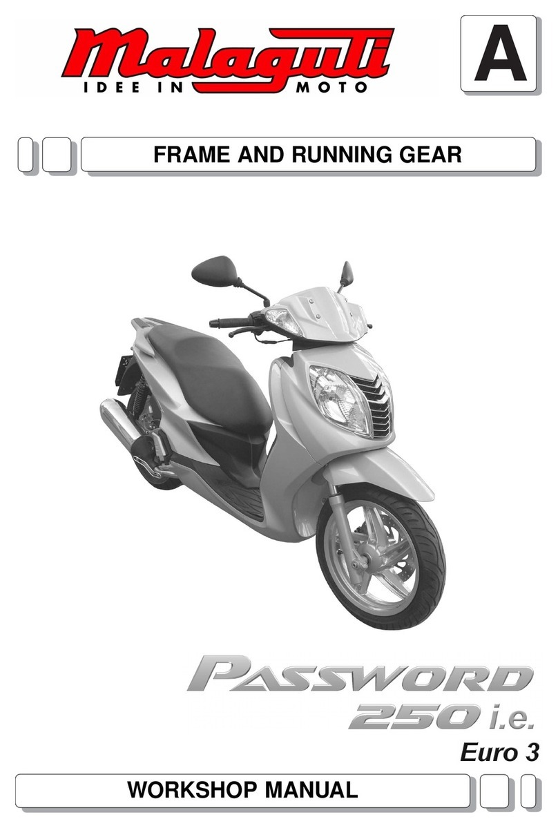 Malaguti Password 250 i.e. Workshop manual