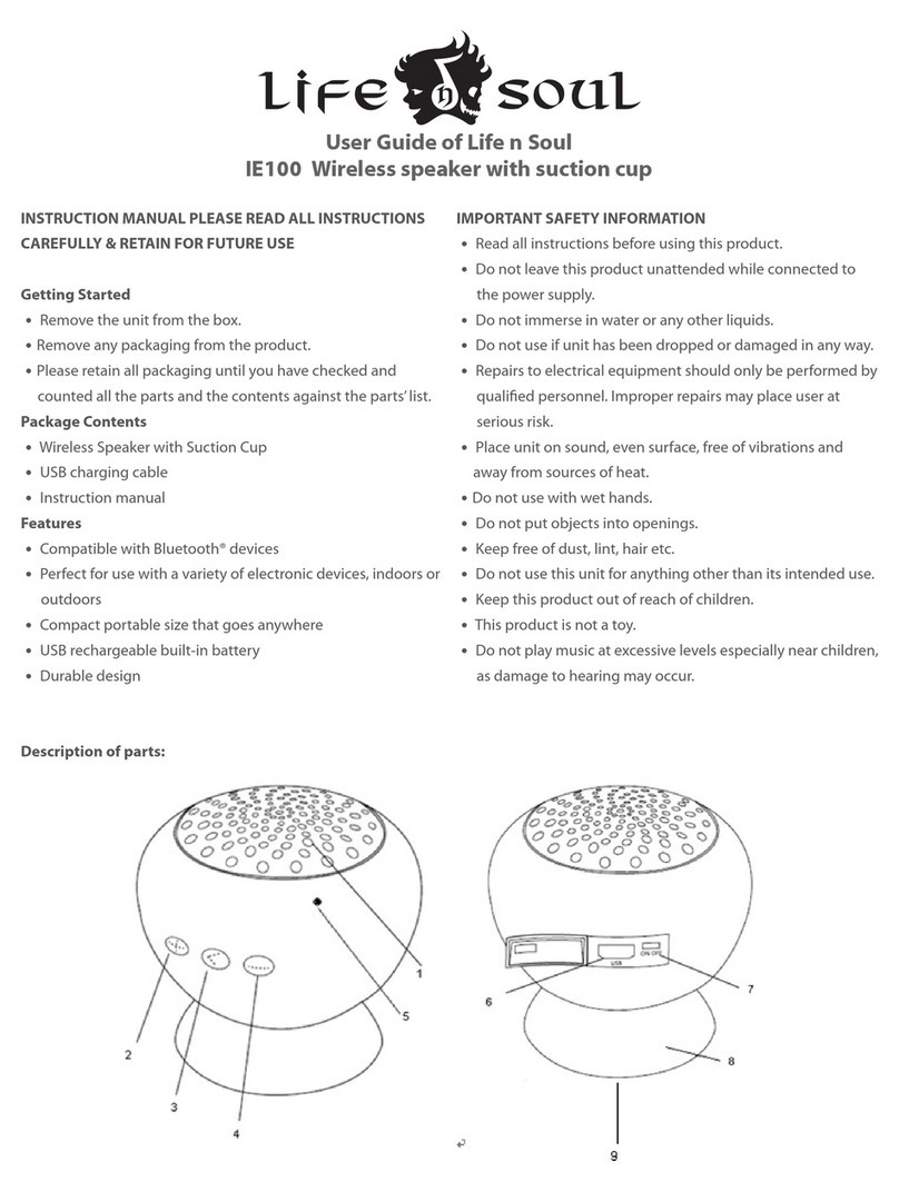 Lifensoul IE100 user guide