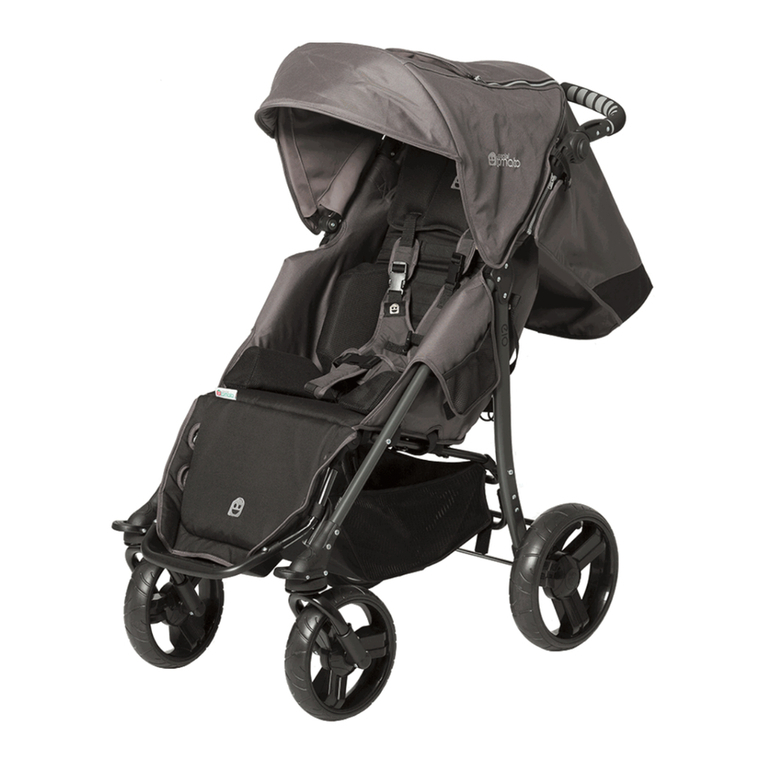 Special Tomato EIO Push Chair user manual