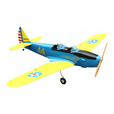 CYmodel Pt-19 instruction manual