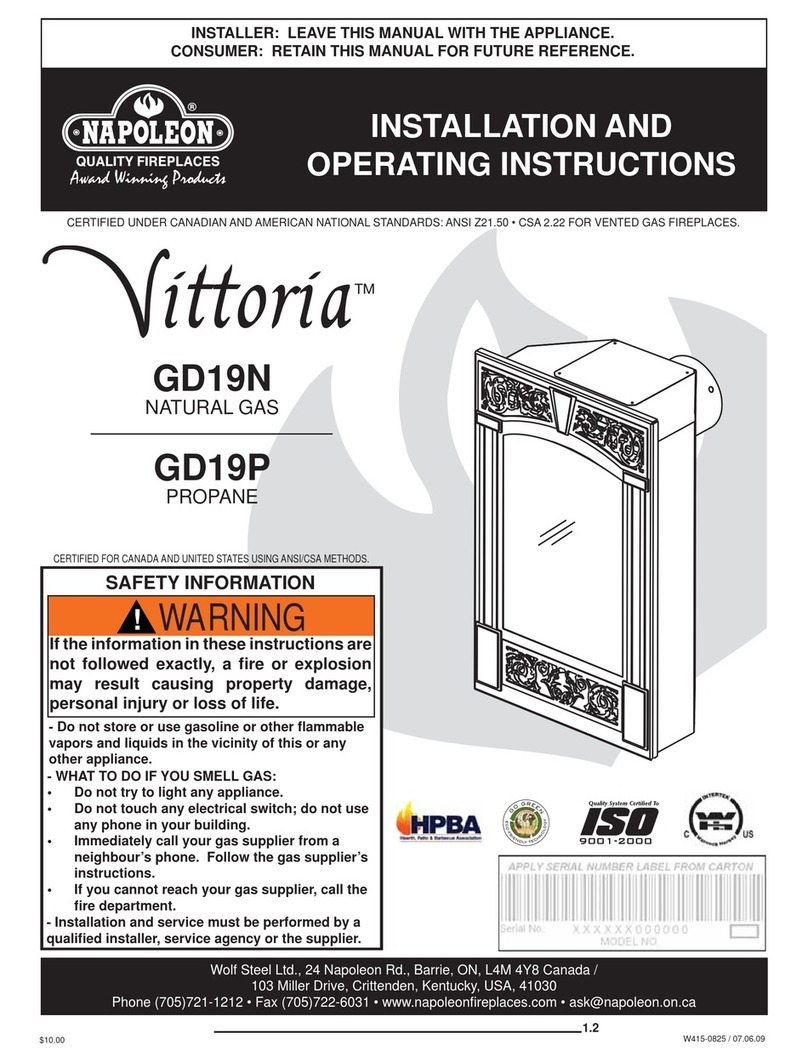 Napoleon Vittoria GD19N User manual