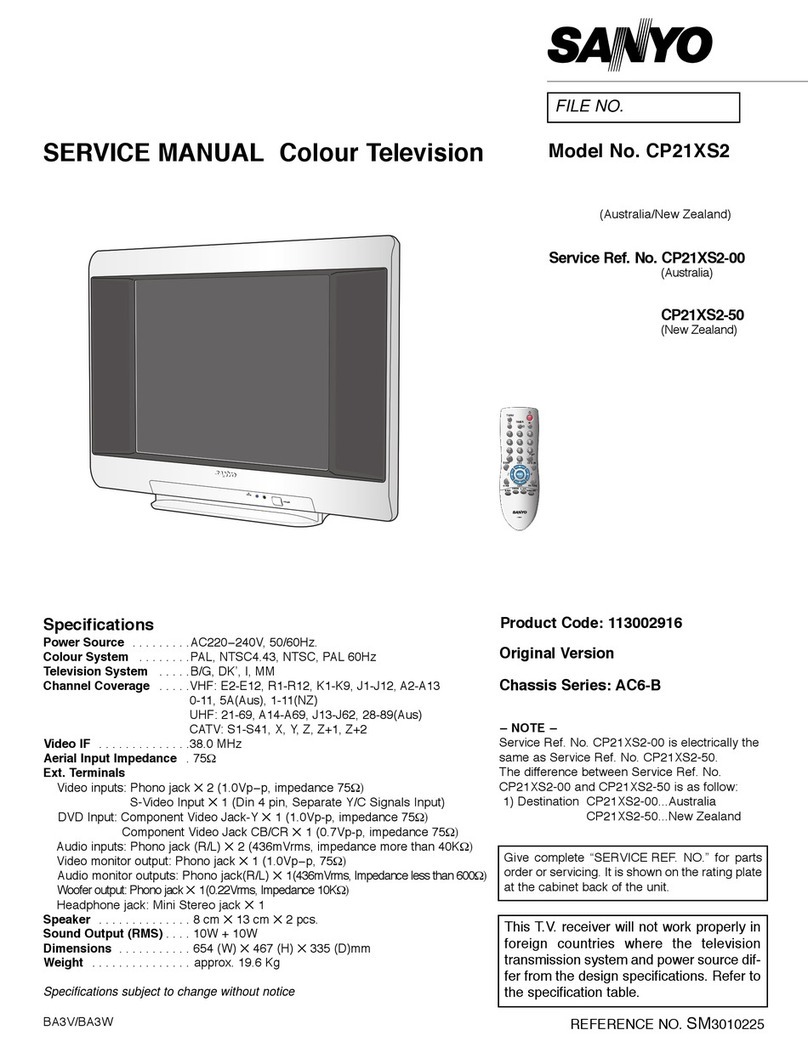 Sanyo CP21XS2 User manual
