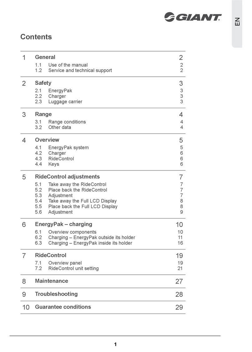 Giant hybrid power bicycle User manual