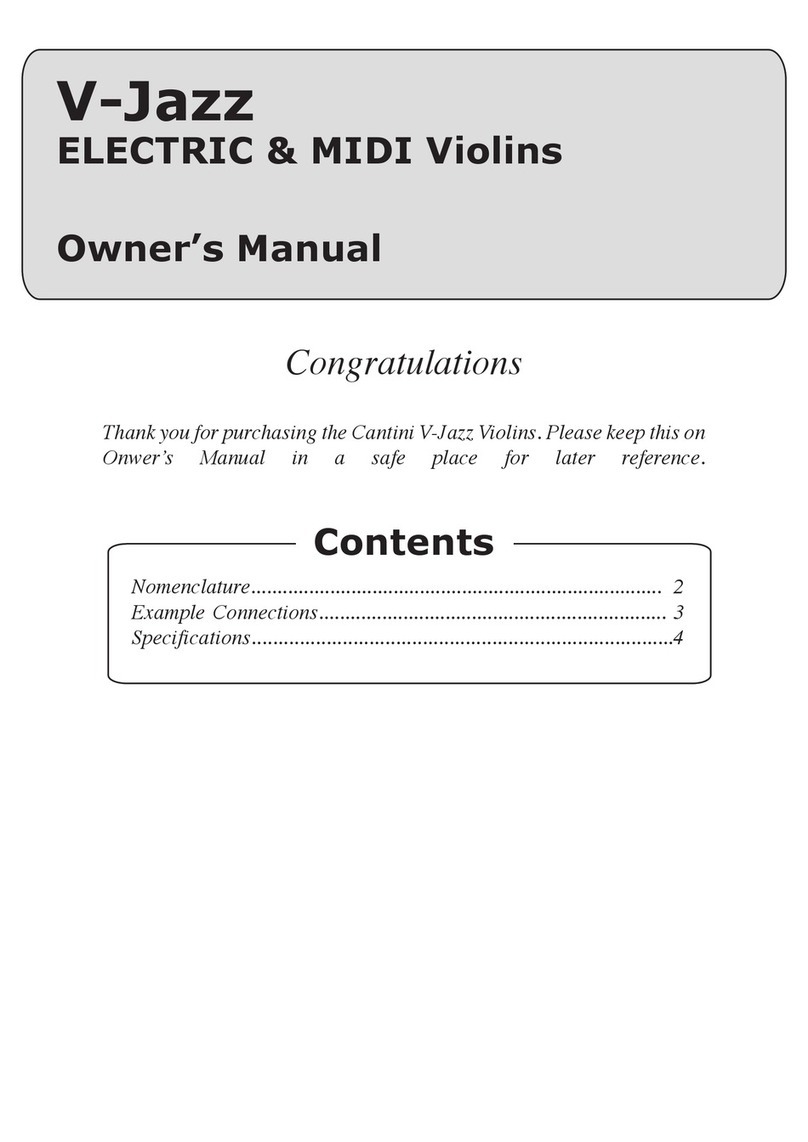 Cantini V-Jazz owner's manual