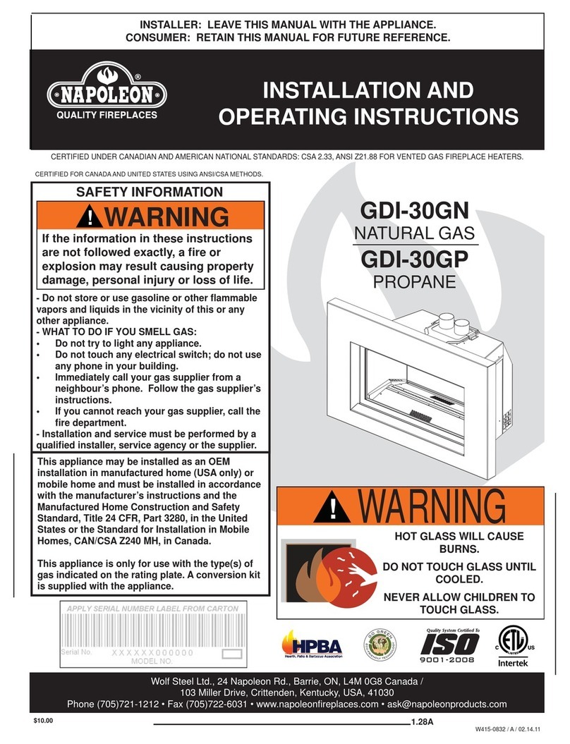 Napoleon GDI-30GN User manual
