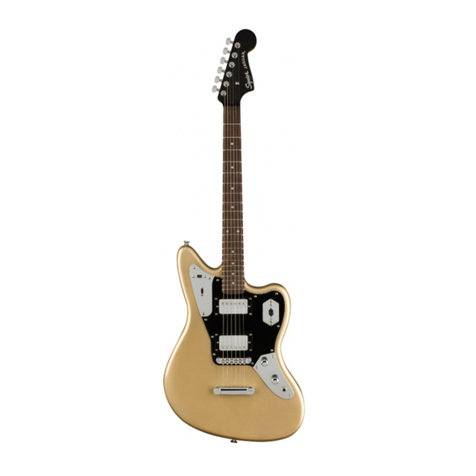 Fender SQUIER SERIES User manual