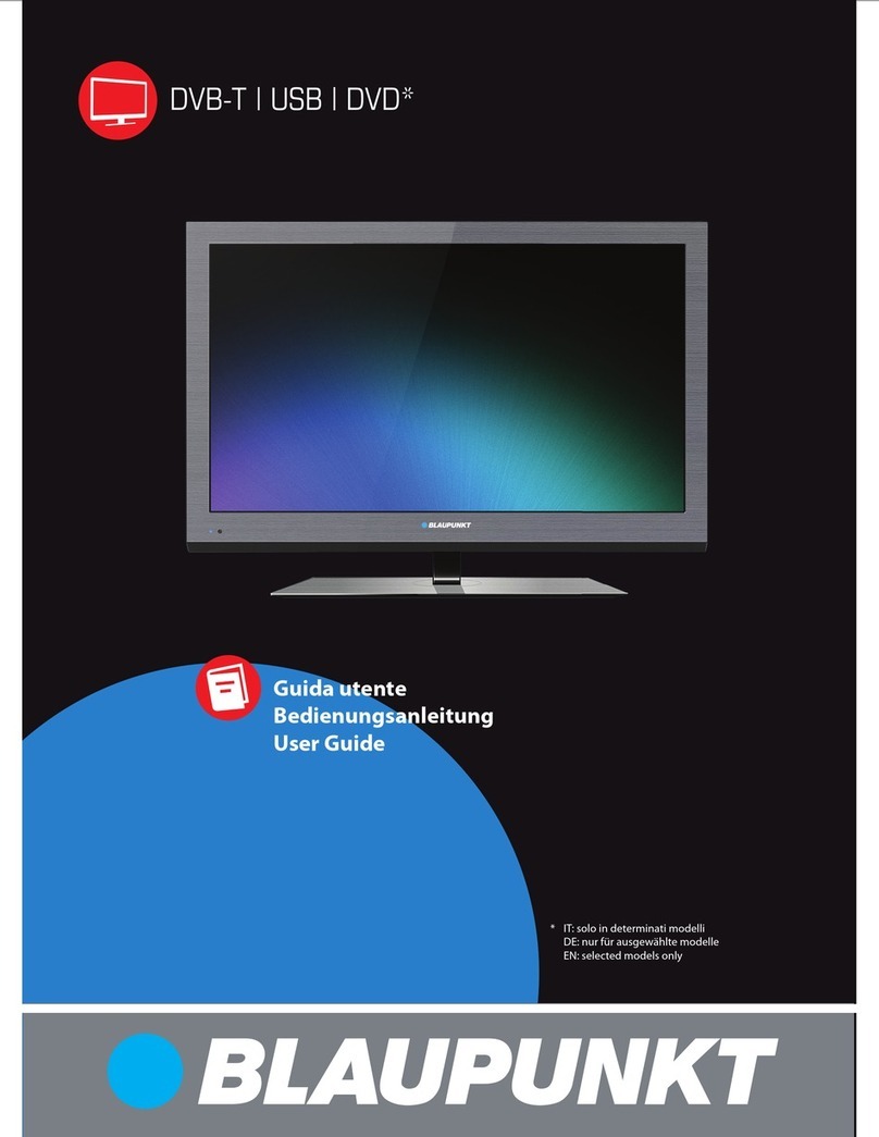 Blaupunkt DVB-T User manual
