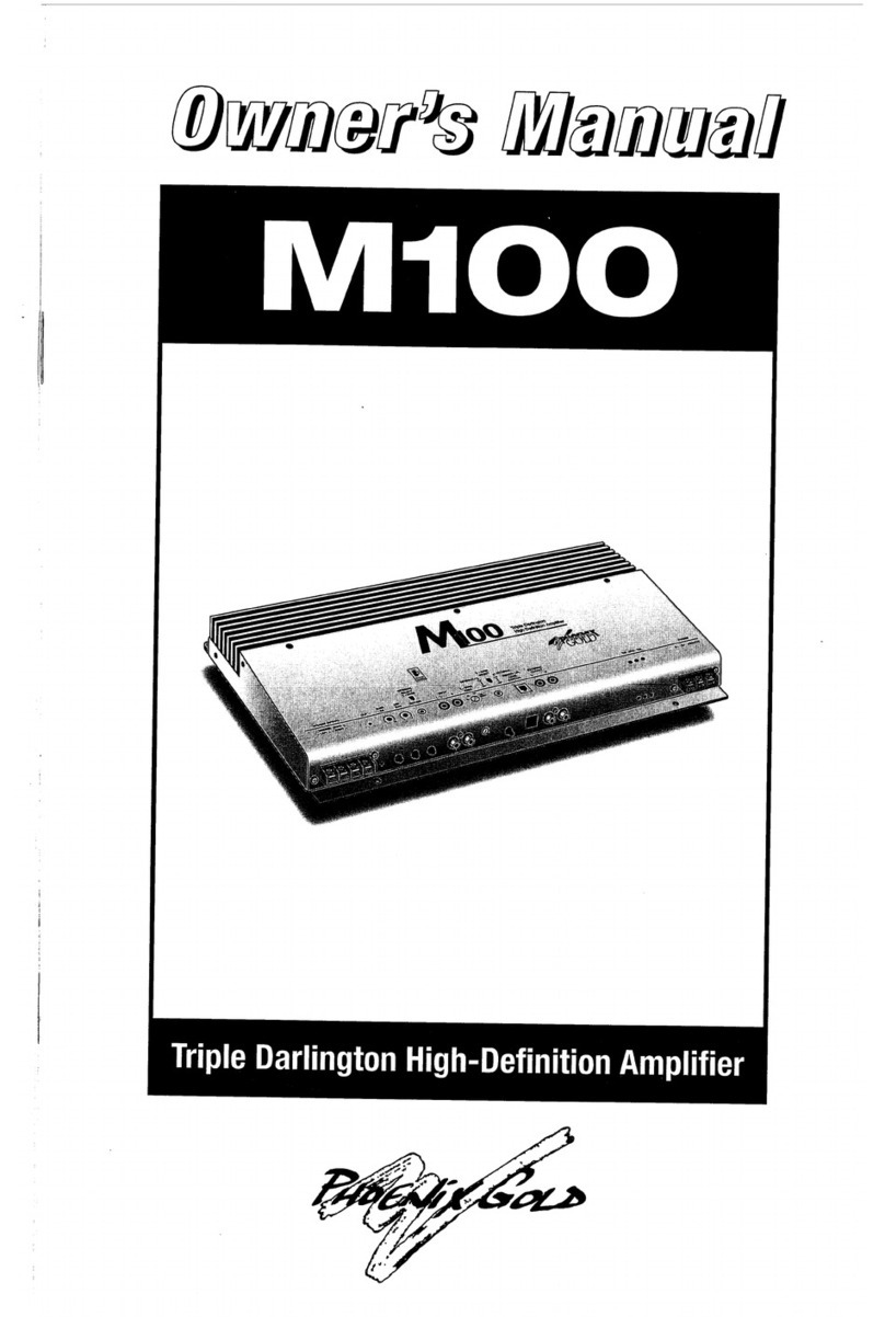 Phoenix Gold m100 User manual