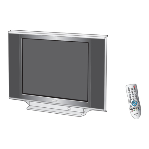 Sanyo CE29FS2 User manual Sanyo CE29FS2 User manual