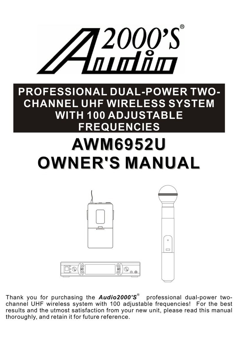 Audio 2000 AWM6952U User manual