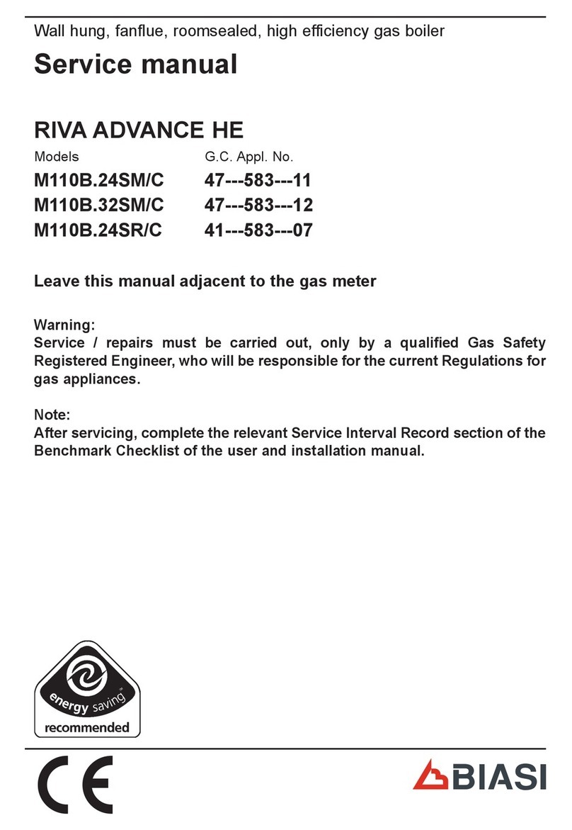 Biasi RIVA ADVANCE HE M110B.24SM/C User manual Biasi RIVA ADVANCE HE M110B.24SM/C User manual