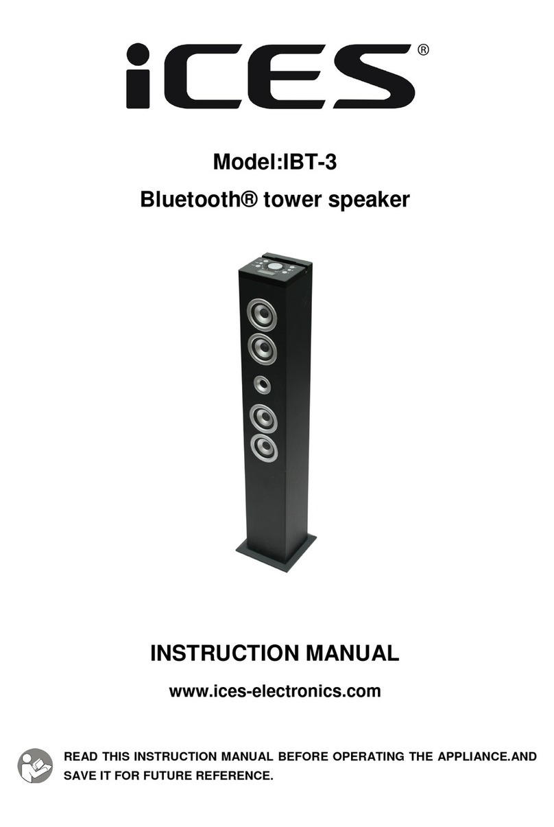 iCES IBT-3 instruction manual