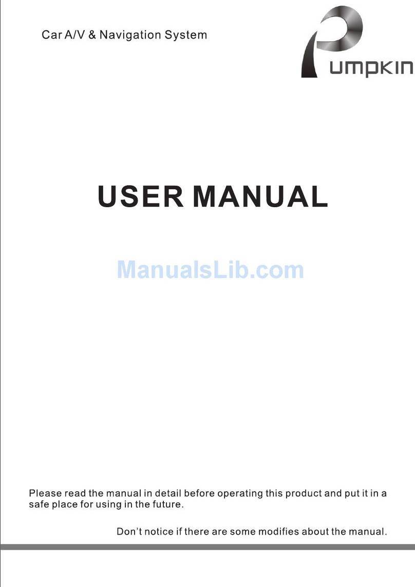 Pumpkin Car A/V & Navigation System user manual
