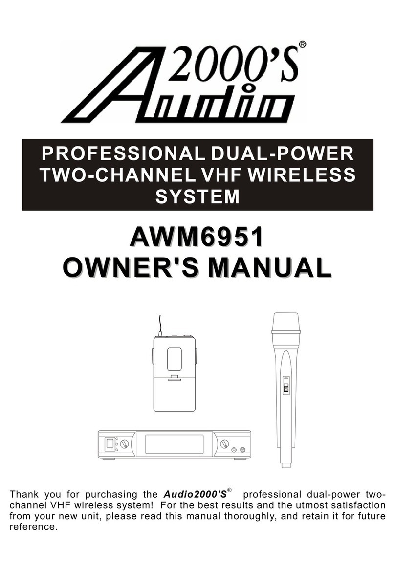 Audio2000's AWM6951 User manual