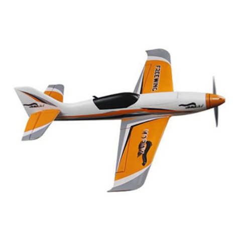 Freewing Moray User manual