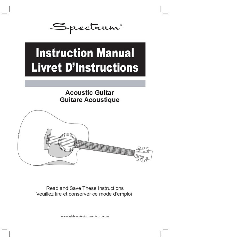 Spectrum guitar instruction manual