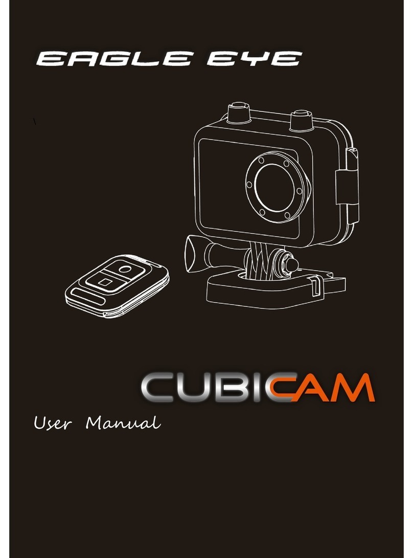 Cubicam Eagle Eye user manual