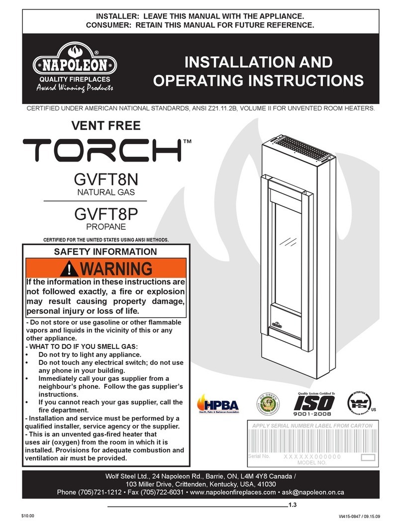 Napoleon Torch GVFT8N Installation and operating instructions
