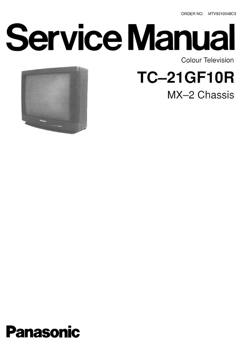 Panasonic TC-21GF10R User manual