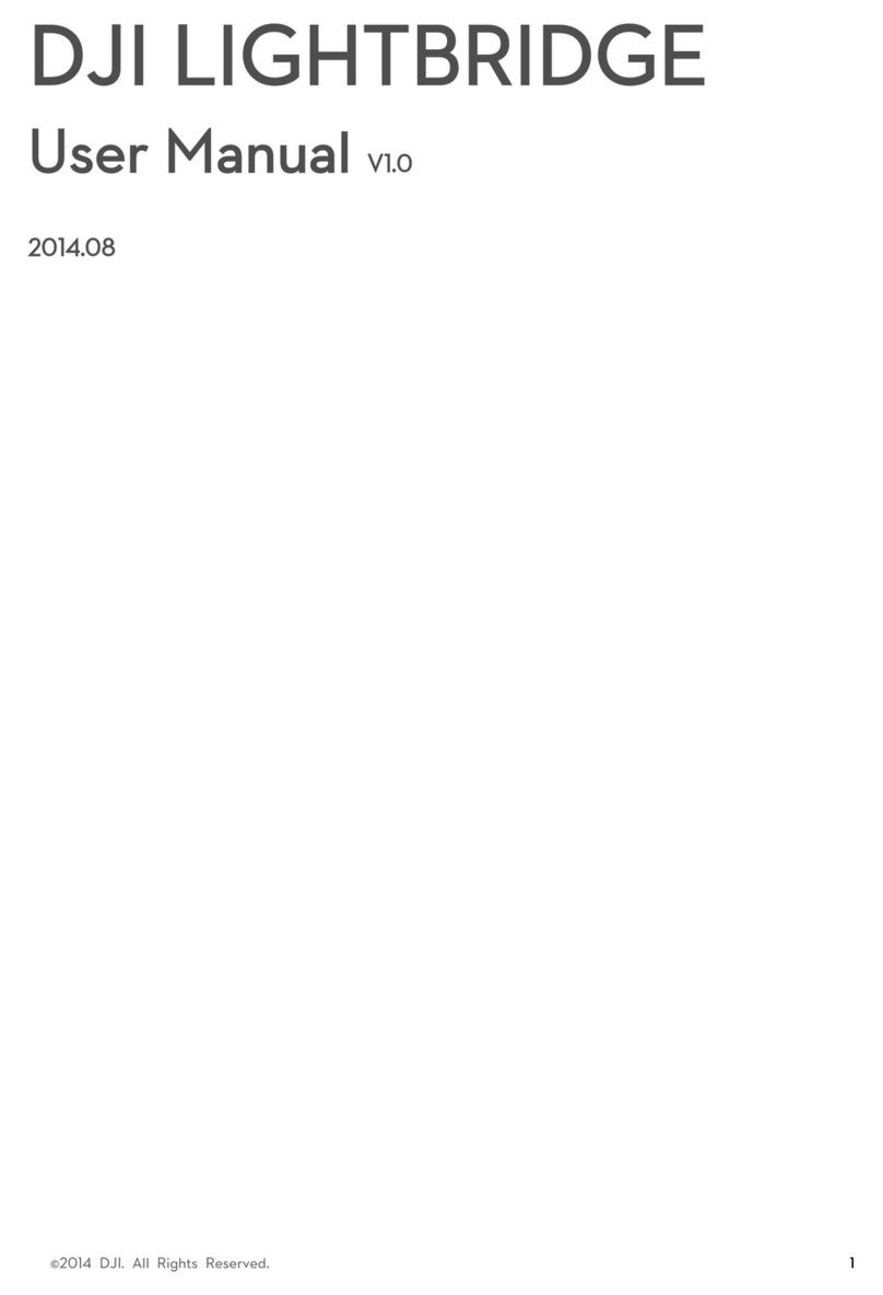 dji LIGHTBRIDGE user manual