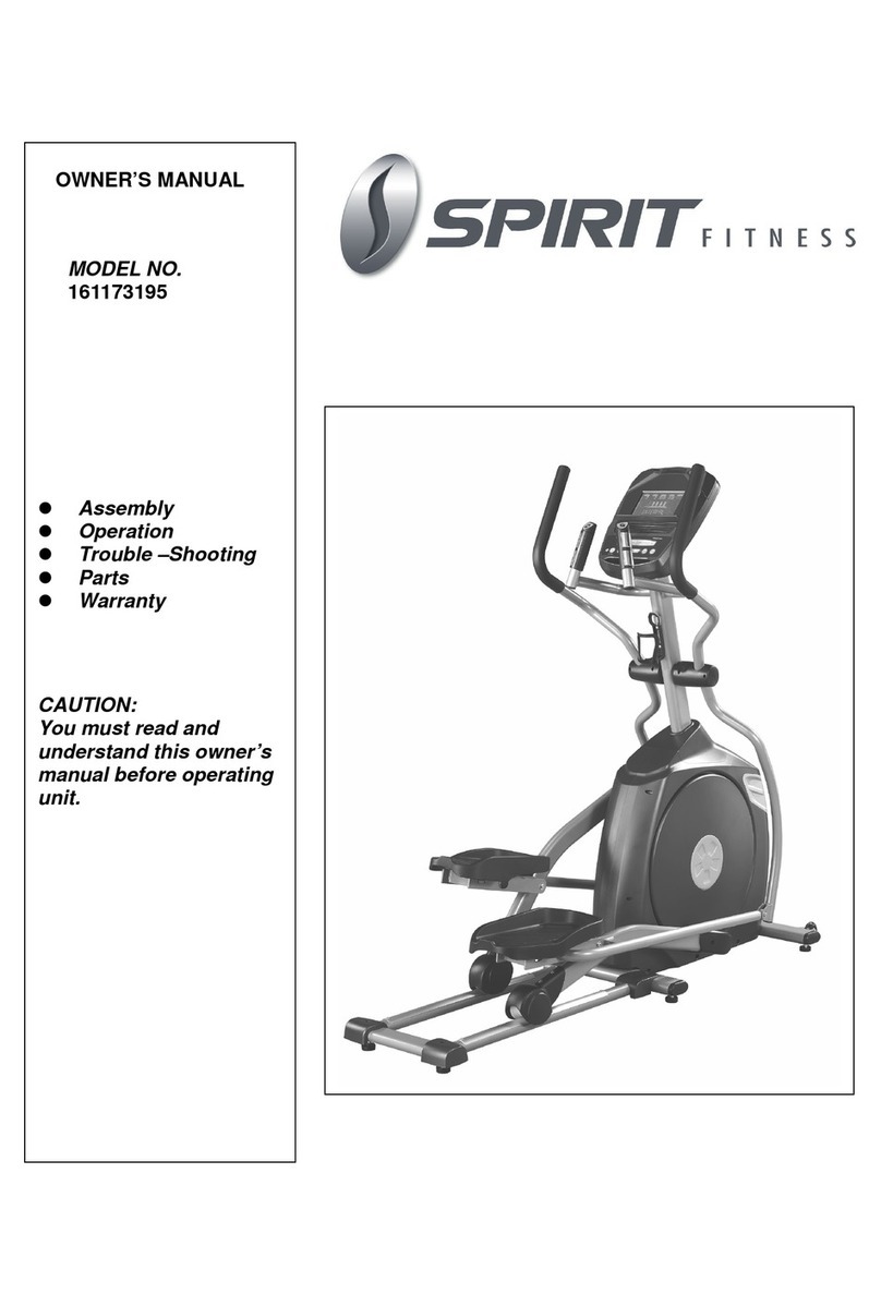 Spirit 161173195 owner's manual