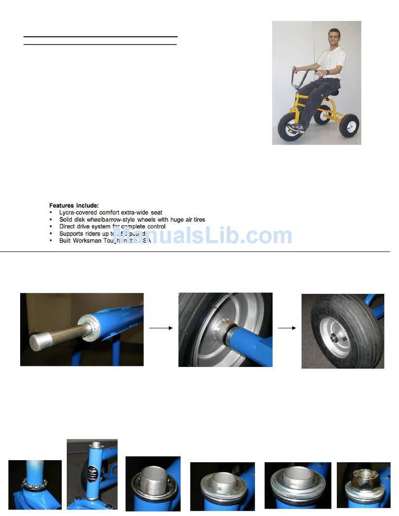 Worksman WTX Datasheet