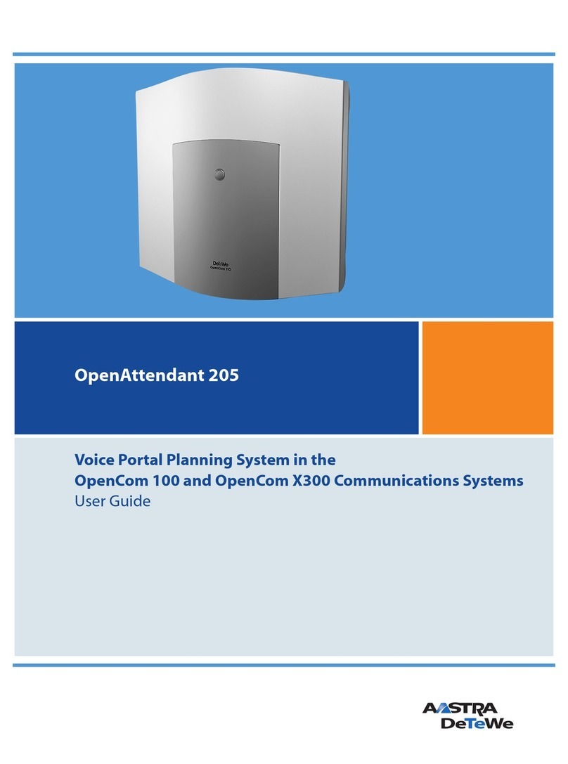 DETEWE OpenAttendant 205 user guide