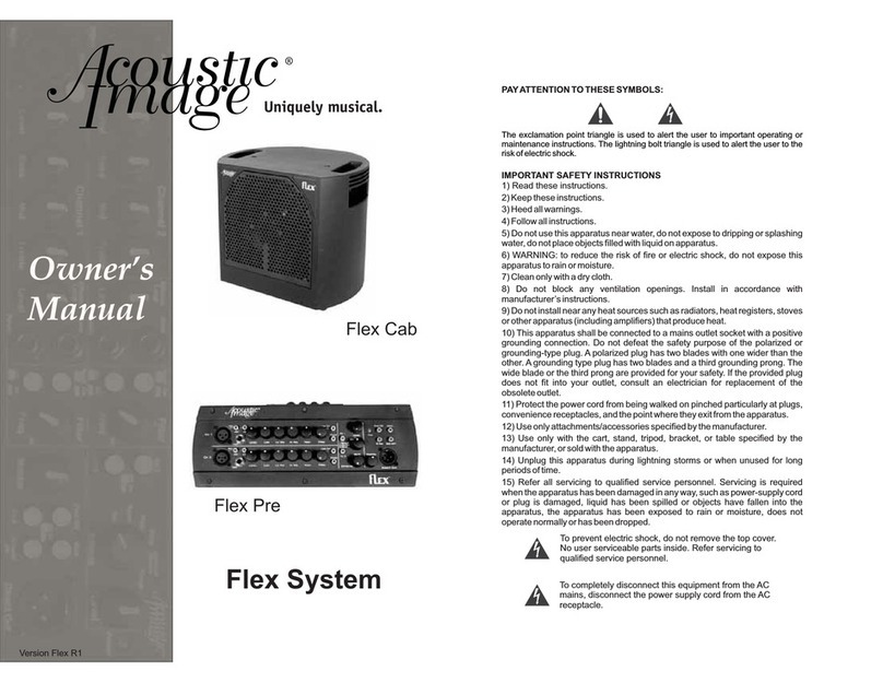 Acoustic Image Flex Pre owner's manual