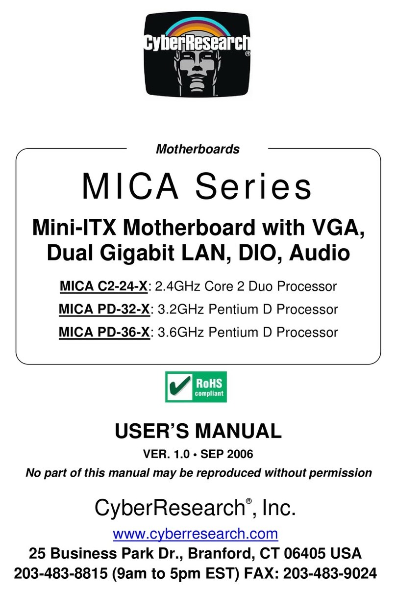 CyberResearch MICA C2-24-X User manual