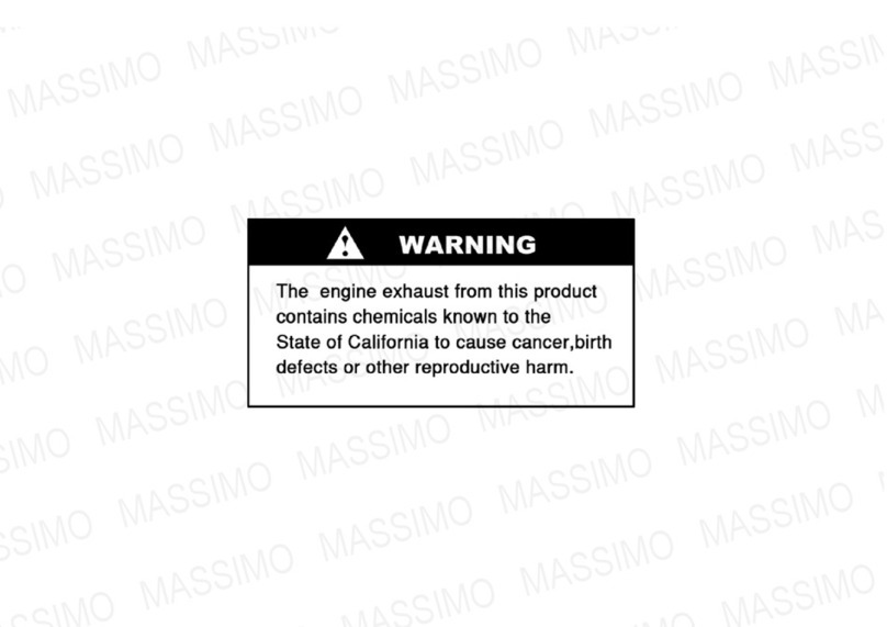 Massimo 800ATV User manual