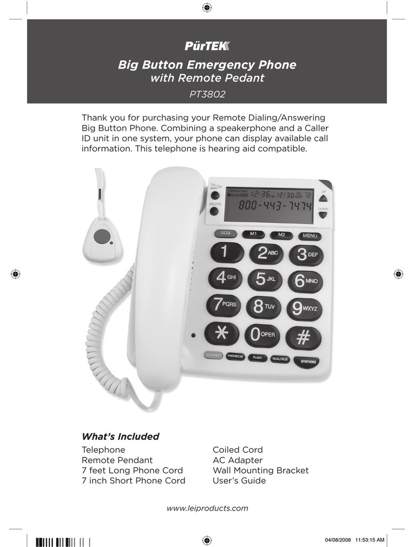 Purtek PT3802 user guide
