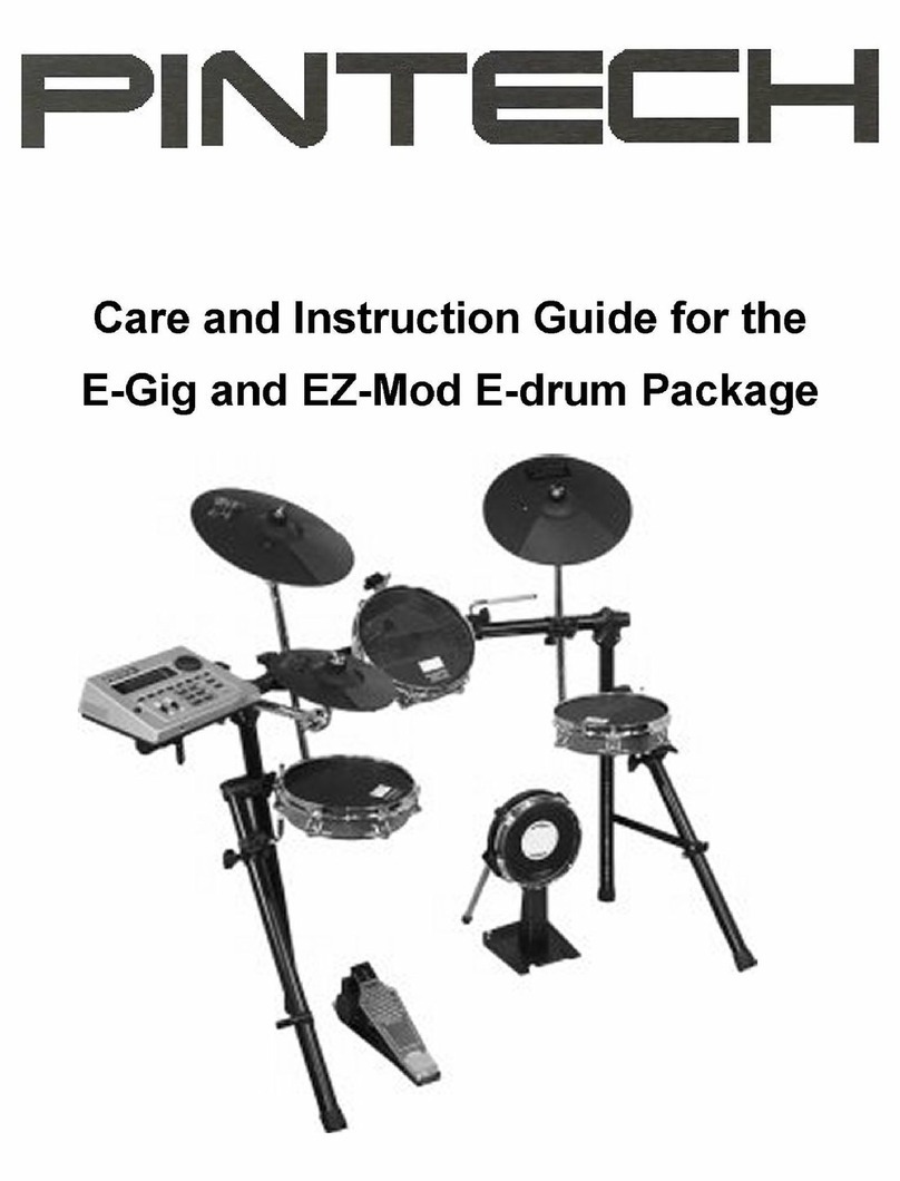 Pintech E-Gig Care and instruction guide
