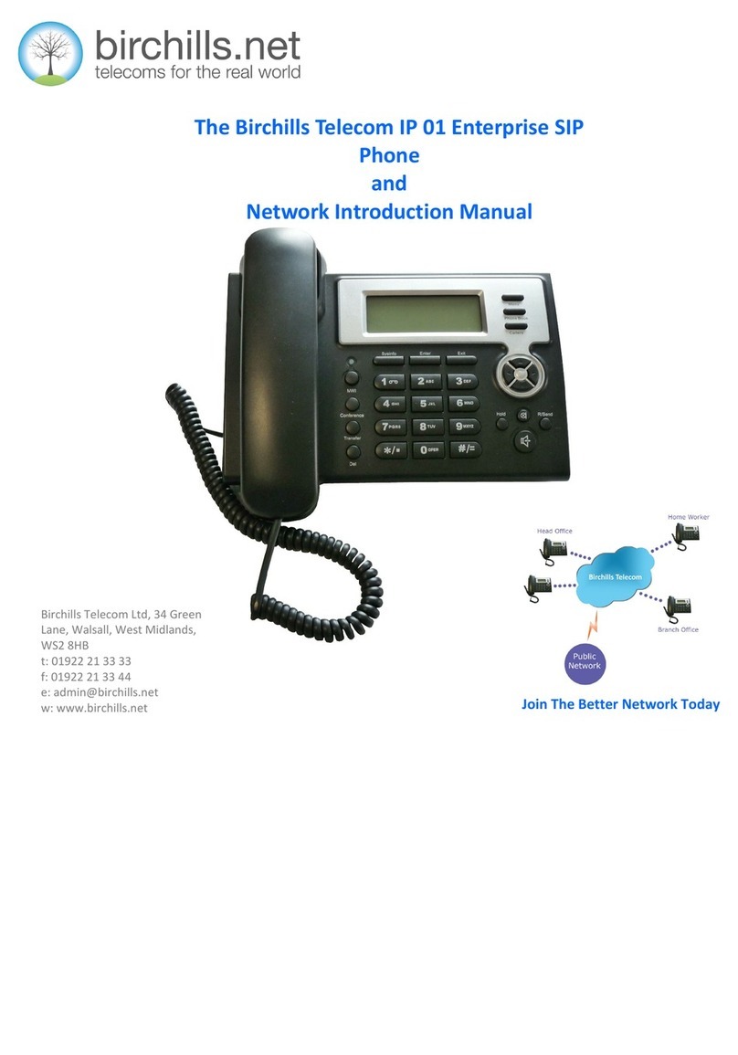Birchills Telecom IP 01 Network introduction manual