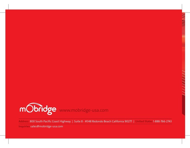 Mobridge CAr interface for iPod user manual