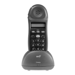 BT SYNERGY User manual