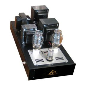 Audio Note Interstage Mono Block 300D User manual