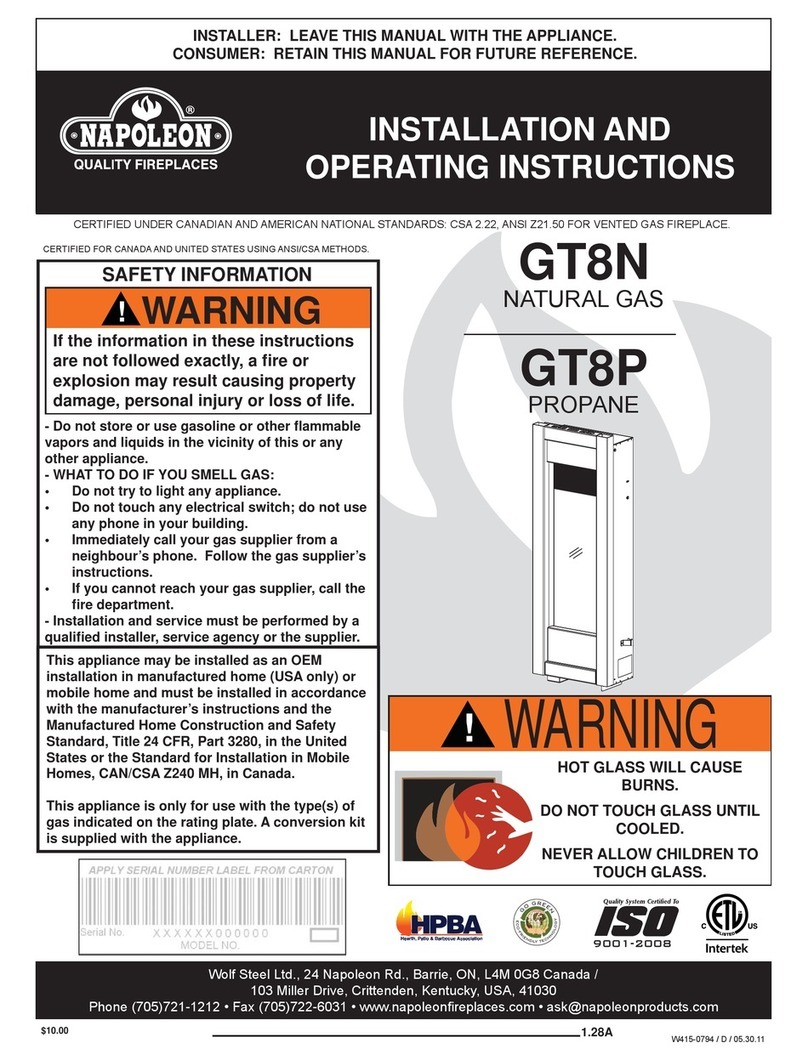 Napoleon TORCH GT8N Installation and operating instructions