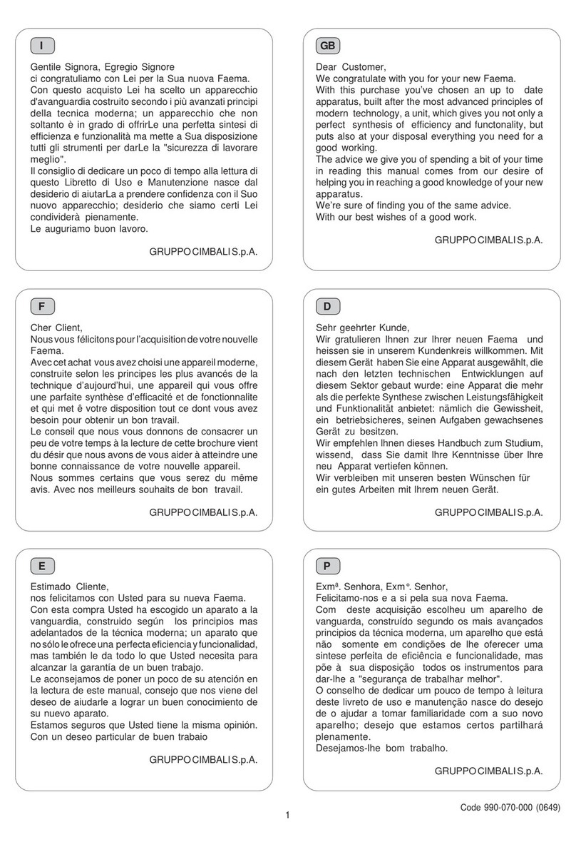 Faema MPN user manual