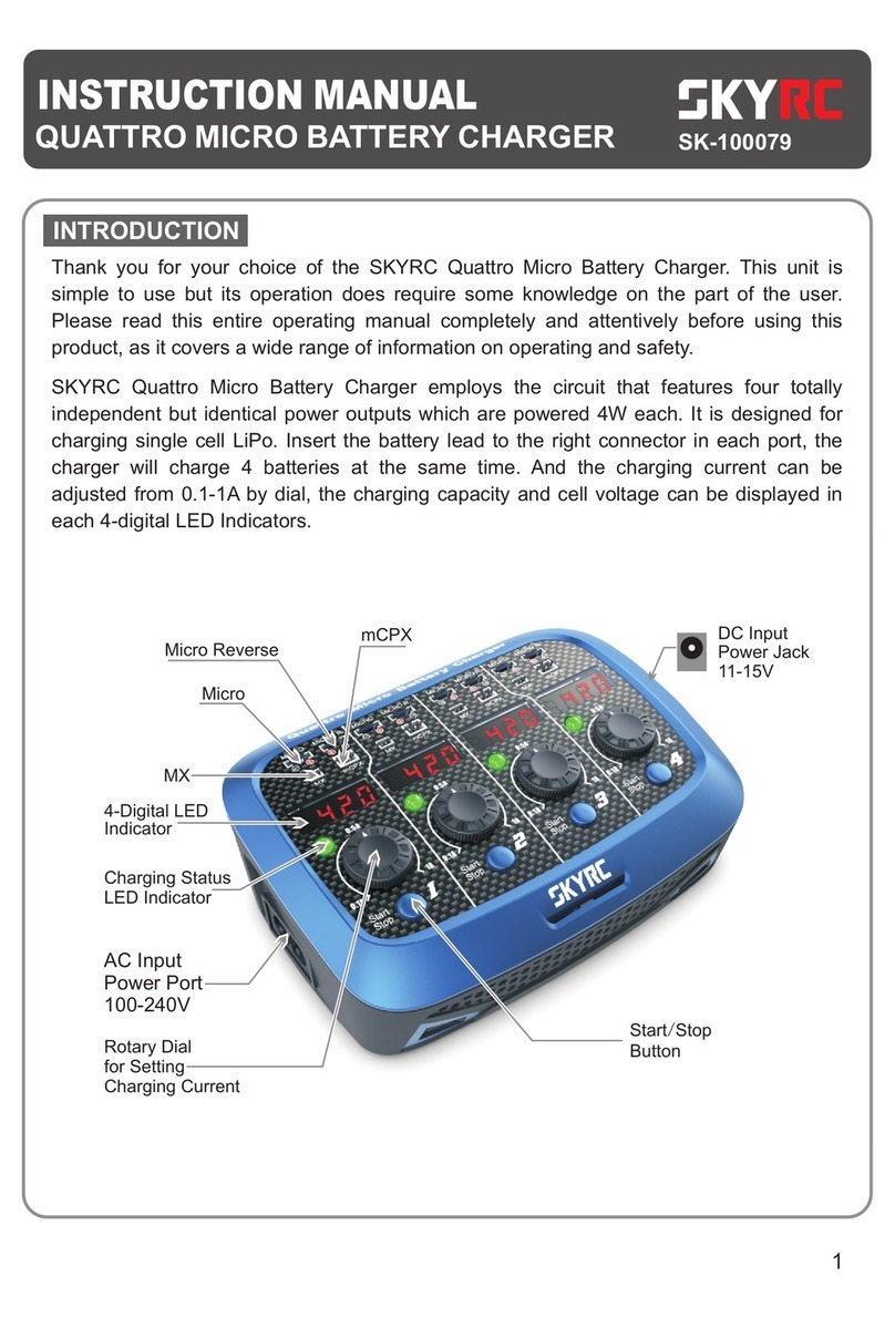 Skyrc SK-100079 instruction manual