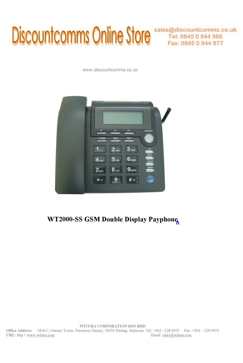 Witura WT2000-SS user manual