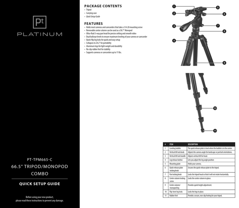Platinum PT-TPM665-C Quick setup guide
