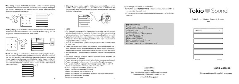 Tokio Sound TS1 user manual