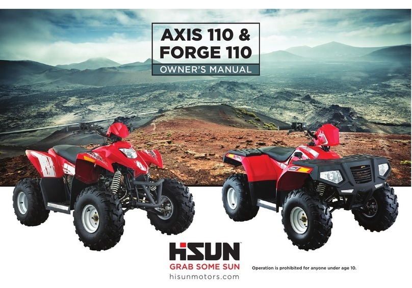 Hisun Motors AXIS 110 User manual