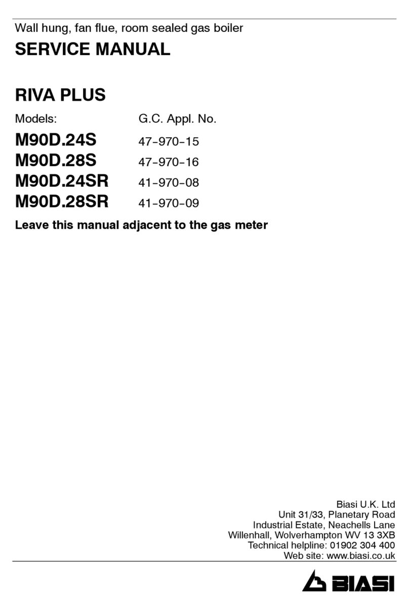 Biasi RIVA PLUS M90S.24S User manual