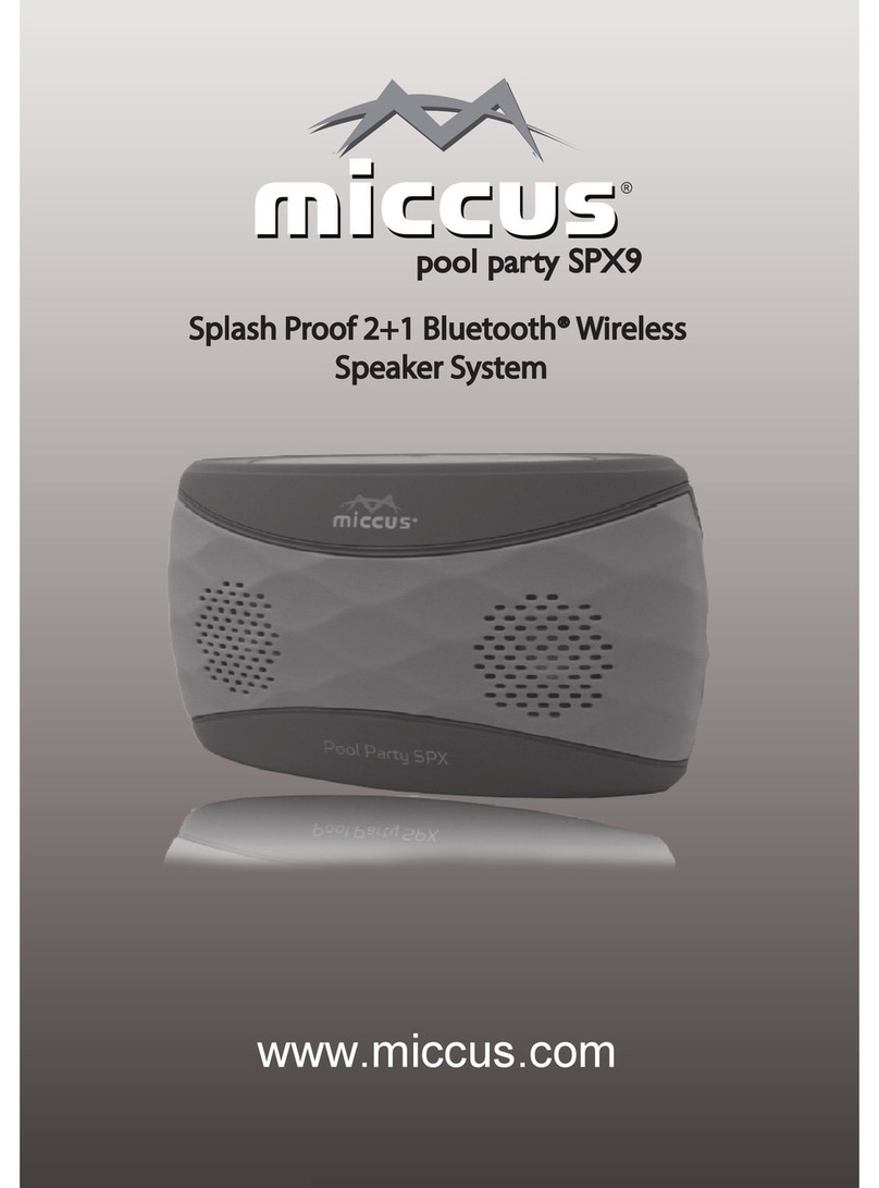 Miccus pool party SPX9 quick start guide