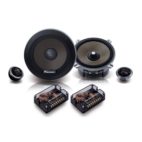 Pioneer TS-C131PRS manual