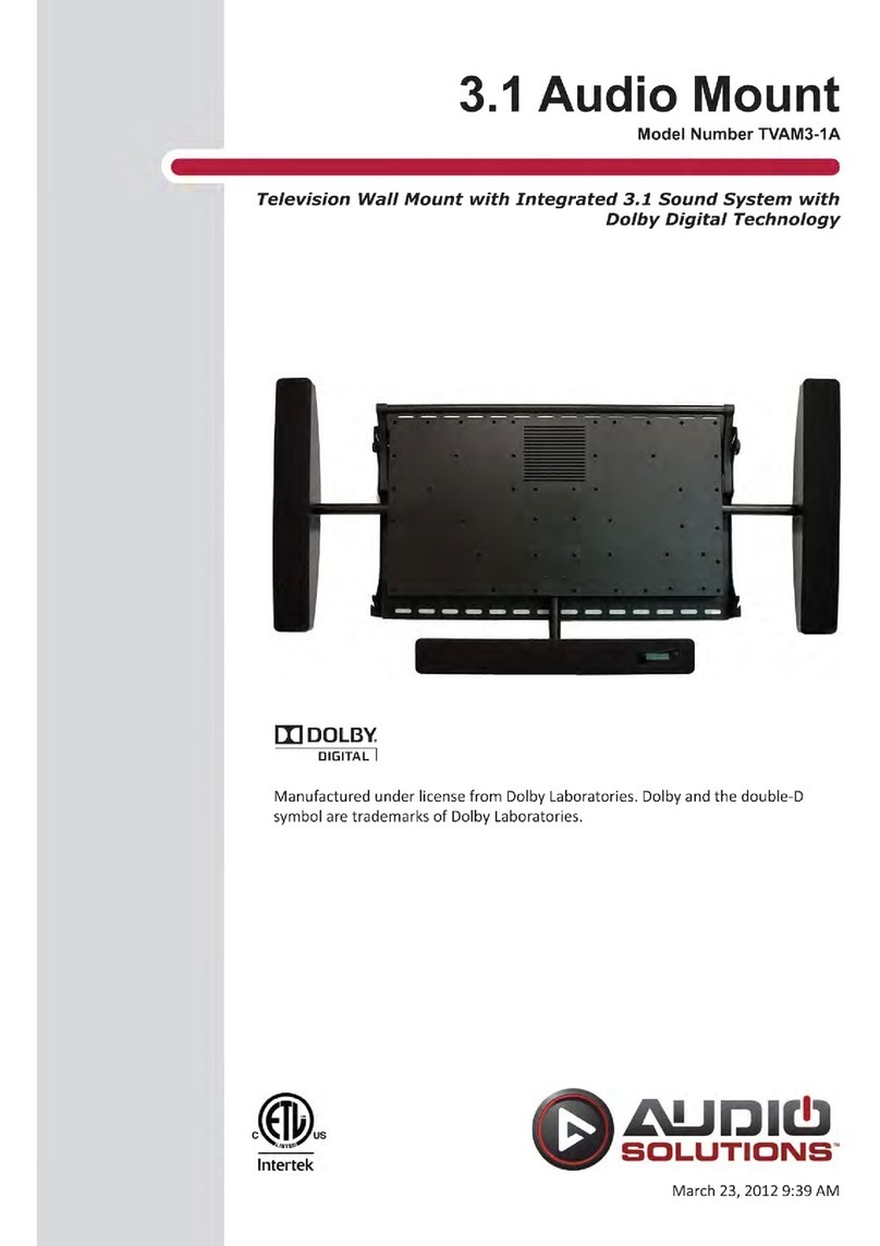 Audio Solutions TVAM-1A user manual