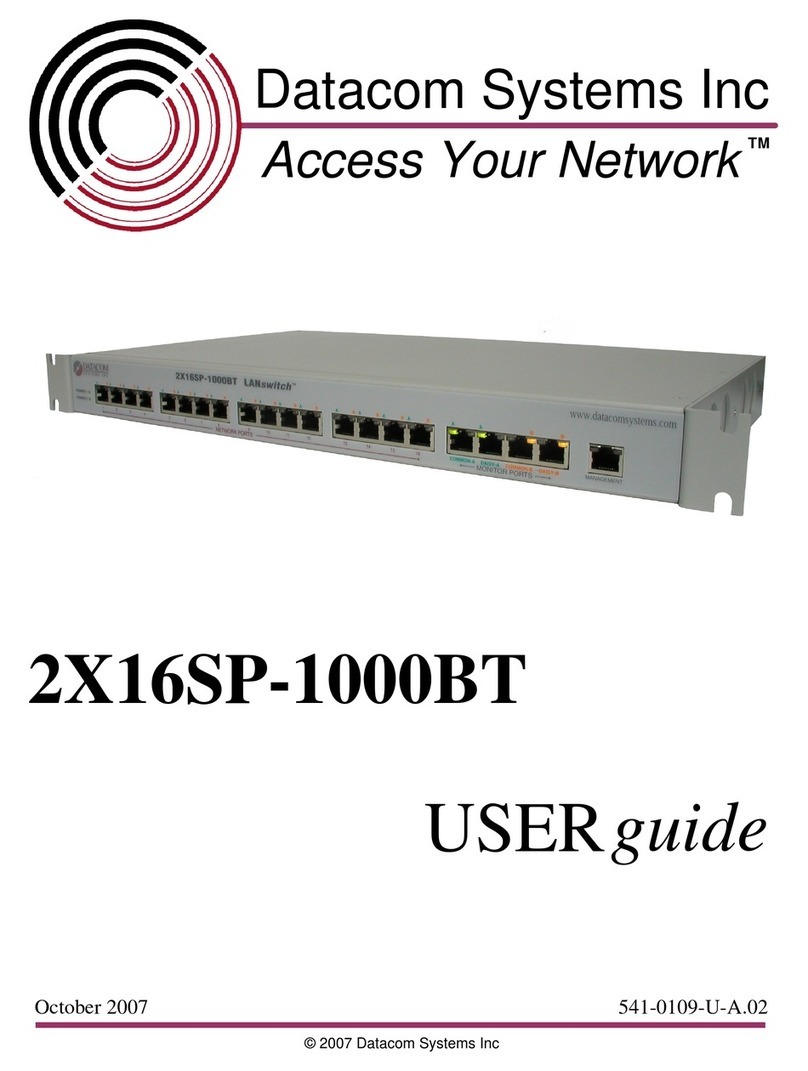 Datacom Systems 2X16SP-1000BT user guide